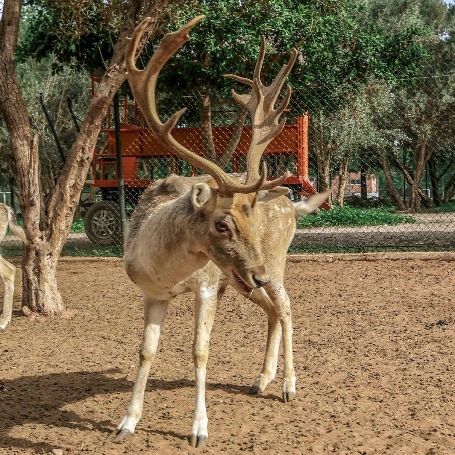 Le Domaine Limoune Oulad Teima Exterior photo