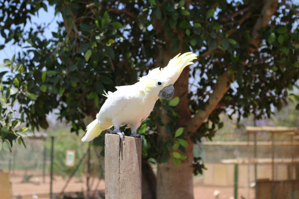 Le Domaine Limoune Oulad Teima Exterior photo